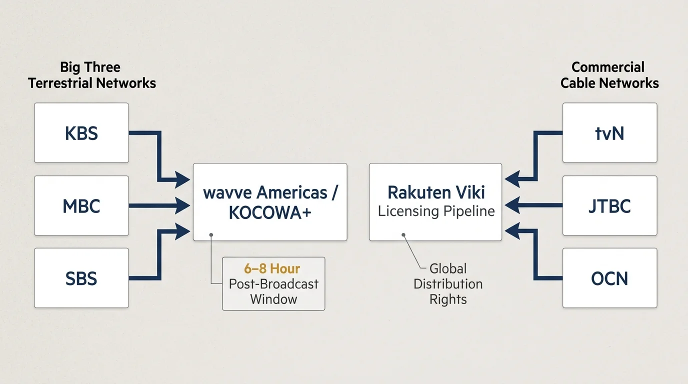 Diagram contrasting Korean terrestrial network feeds to wavve Americas/KOCOWA+ against cable network feeds to Rakuten Viki.